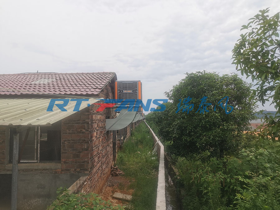 豬場降溫,濕簾冷風(fēng)機,環(huán)保空調(diào)